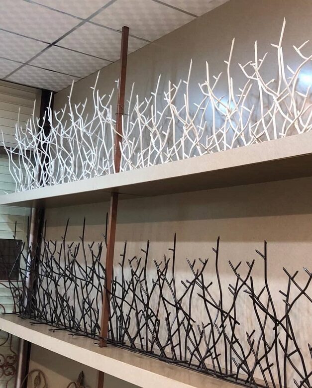 معرفی حفاظ شاخ گوزنی