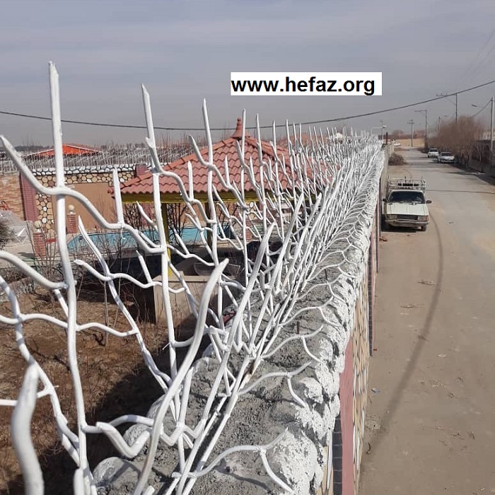 قیمت محافظ شاخ گوزنی بالای دیوار