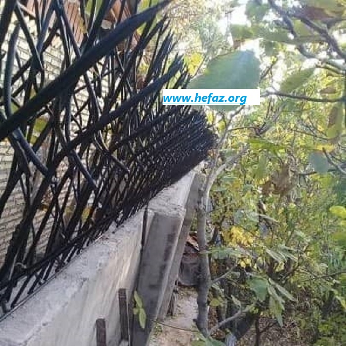 حفاظ آهنی شاخ گوزنی