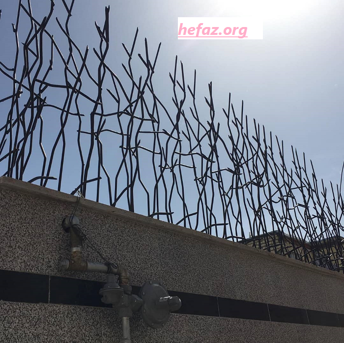 حفاظ شاخ گوزنی دیوار 