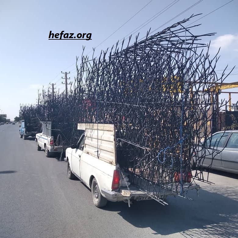 حفاظ شاخ گوزنی دیوار