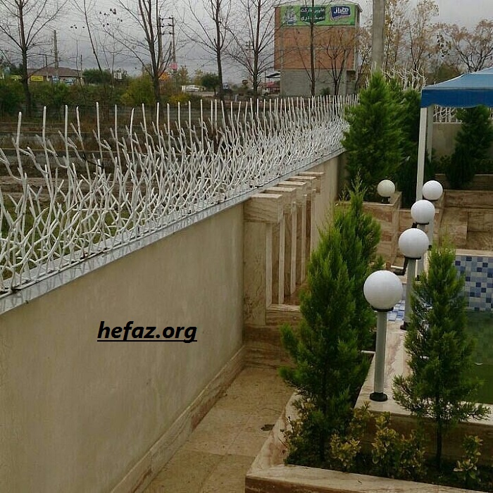 حفاظ شاخ گوزنی