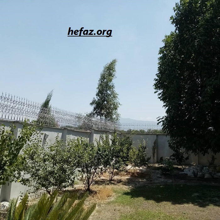 شیک ترین حفاظ دیواری