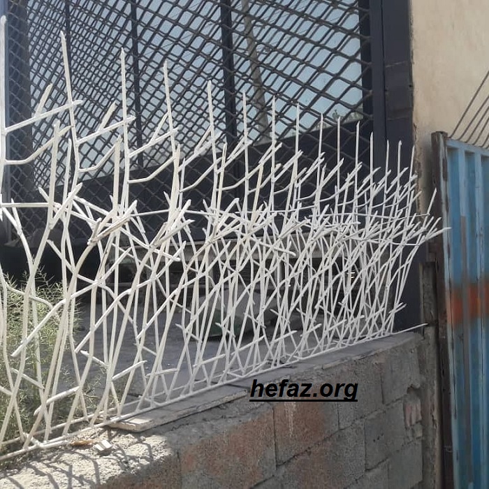 حفاظ شاخ گوزنی روی دیوار