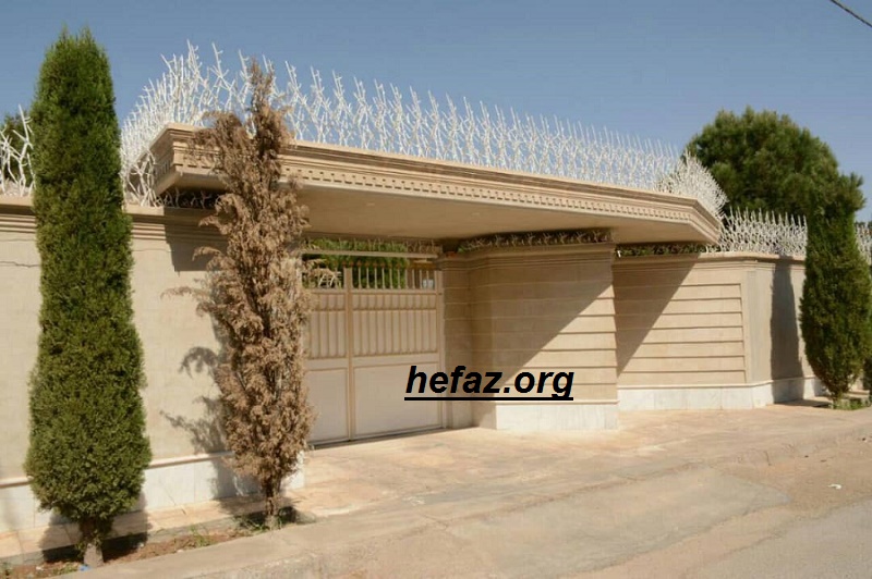 عکس حفاظ شاخ گوزنی از نمای دور و نزدیک