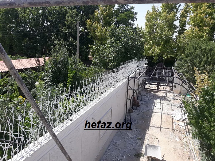 حفاظ شاخ گوزنی ضد زنگ بالای دیوار 