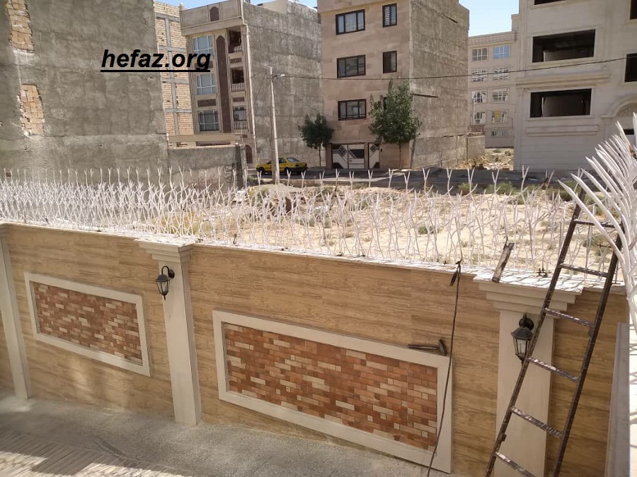 حفاظ شاخ گوزنی محوطه حیاط