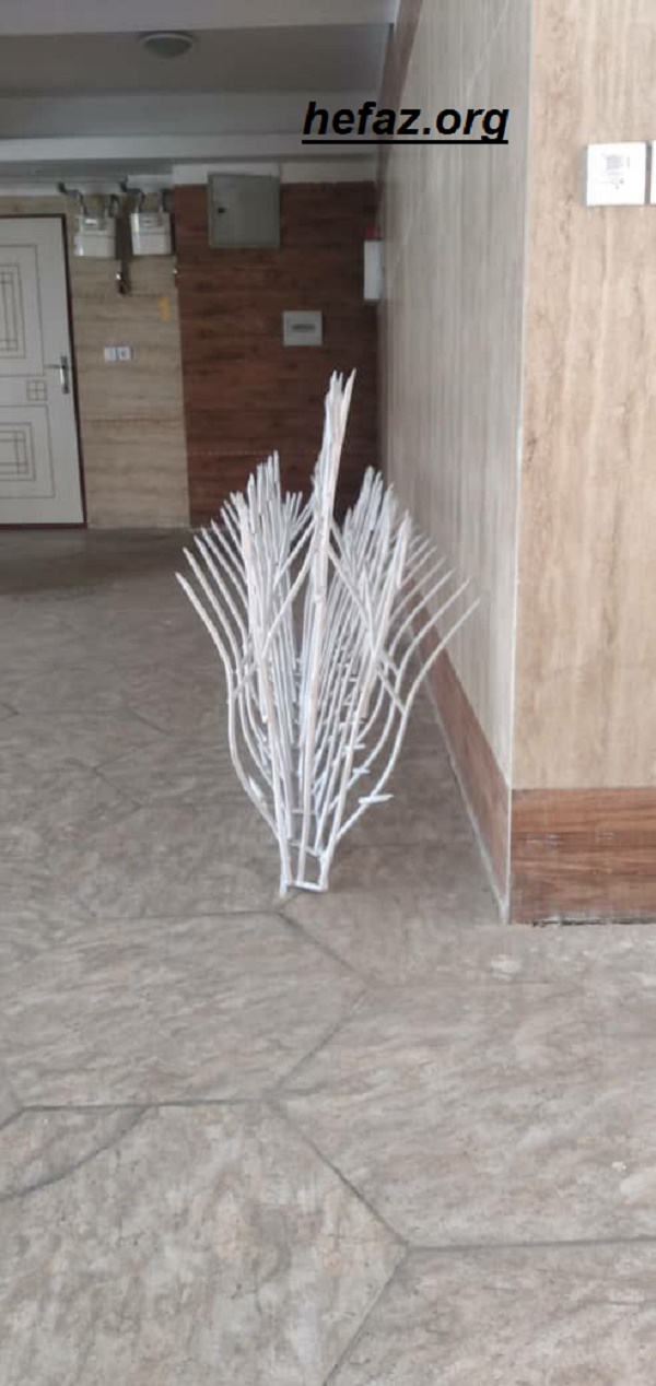 ارتفاع حفاظ شاخ گوزنی
