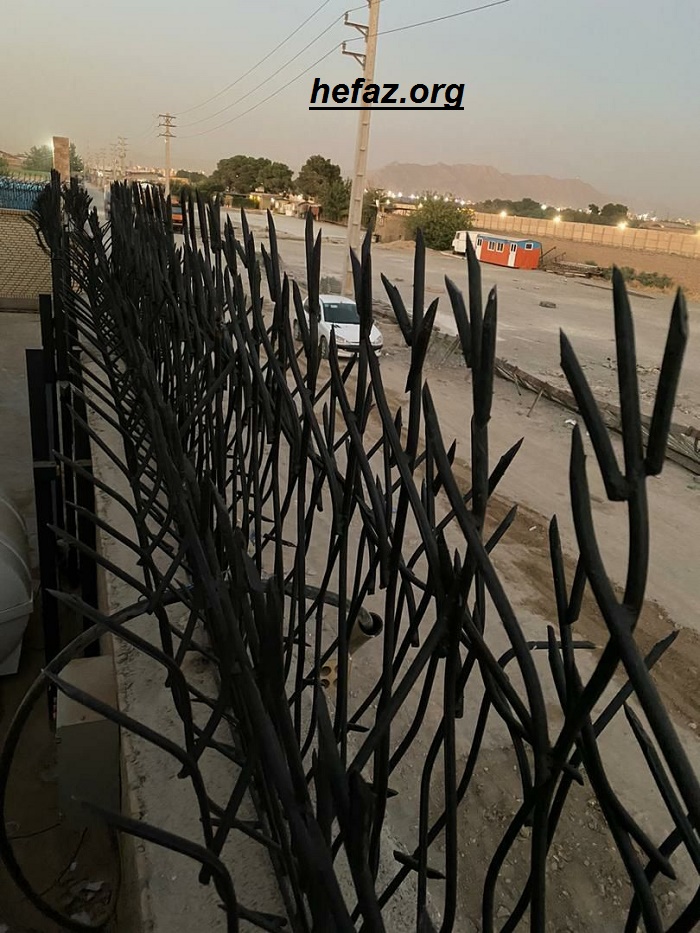 حفاظ شاخ گوزنی در لواسان