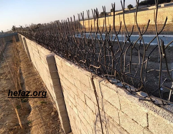 ساختار محافظ شاخ گوزنی