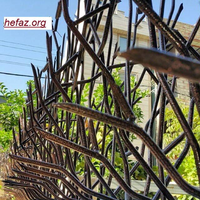 قیمت محافظ شاخ گوزنی قیمت محافظ شاخ گوزنی