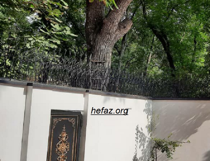 حفاظ روی دیوار حیاط