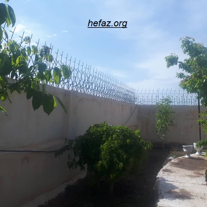 گارد شاخ گوزنی دیواری