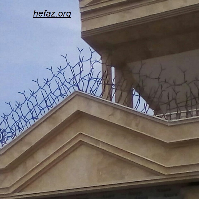 برآورد قیمت حفاظ شاخ گوزنی