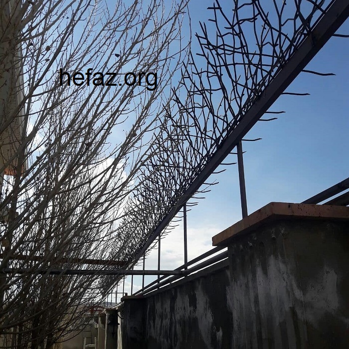 مزیت رنگ آمیزی نرده حفاظ شاخ گوزنی روی دیوار حیاط