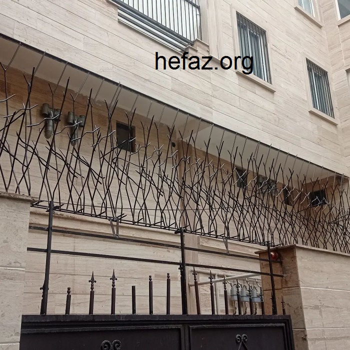 تاثیر رنگ محافظ شاخ گوزنی در قیمت 