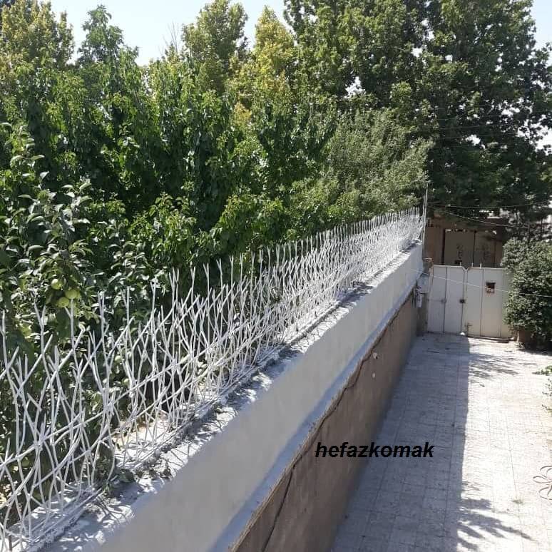 راهنمایی برای یافتن حفاظ شاخ گوزنی زیبا و کارآمد