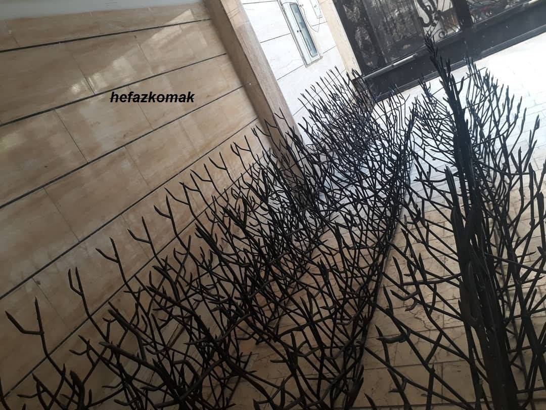 ارزشیابی قیمت حفاظ شاخ گوزنی