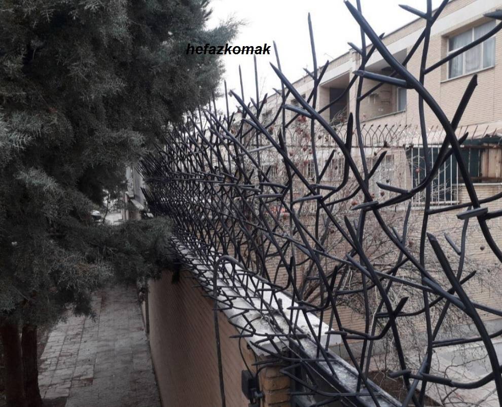 نکات کلیدی در انتخاب محافظ شاخ گوزنی 