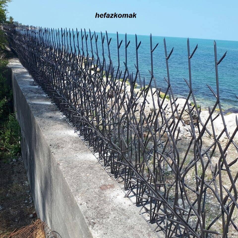 راهنمای خرید حفاظ شاخ گوزنی
