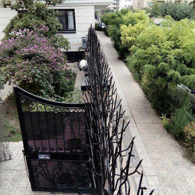 رنگ محافظ شاخ گوزنی دیواری