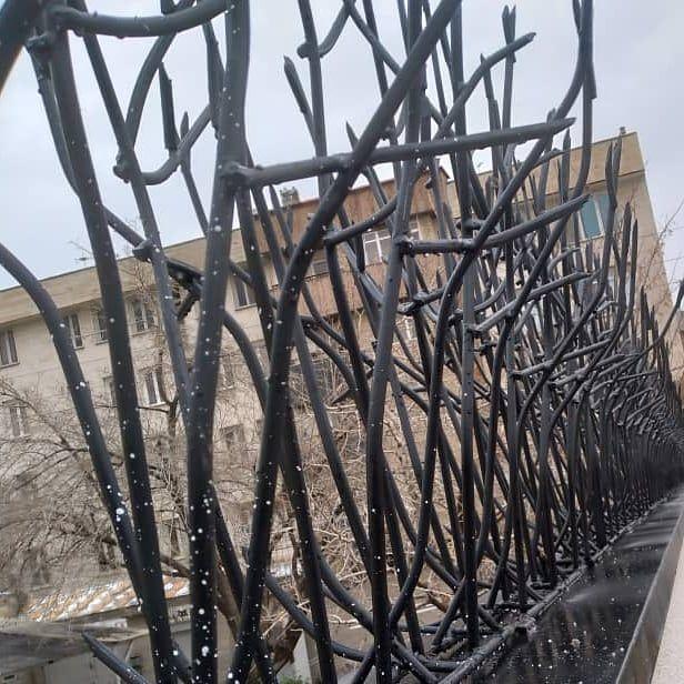 فروش حفاظ دیواری شاخ گوزنی با رنگ مشکی
