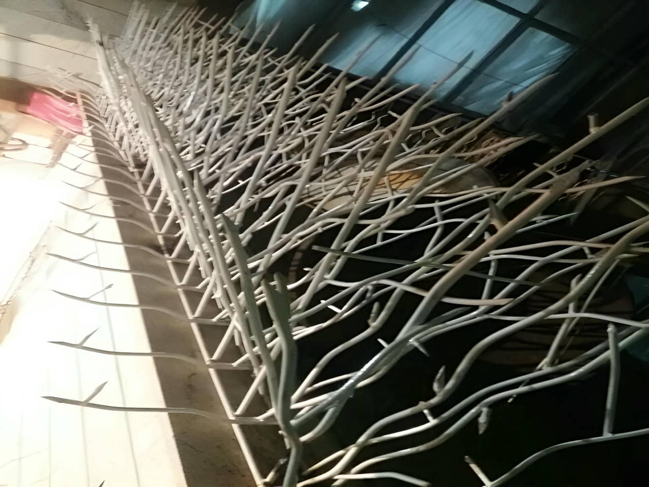 حفاظ بوته ای | حفاظ کمک حفاظ بوته ای