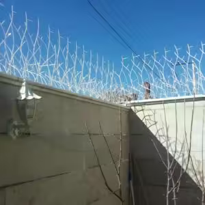 حفاظ شاخ گوزنی تراکم 22 اقتصادی حفاظ شاخ گوزنی تراکم 22 اقتصادی