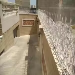حفاظ شاخ گوزنی تراکم 34