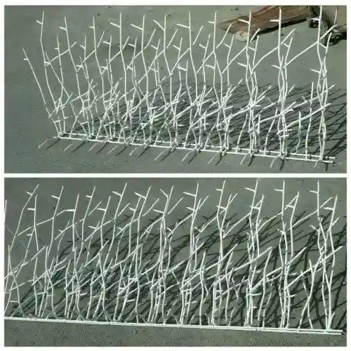 کاربرد حفاظ شاخ گوزنی