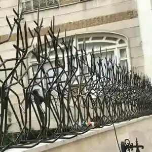 راهنمای خرید حفاظ شاخ گوزنی