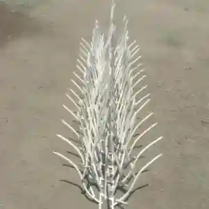 مشخصات فنی حفاظ شاخ گوزنی