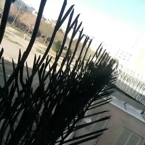هزینه تولید و نصب شاخ گوزنی