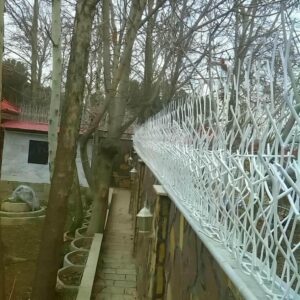 بهترین حفاظ دیوار آپارتمان و ویلا