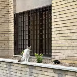 ساخت مدل های متنوع حفاظ پنجره