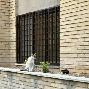 ساخت مدل های متنوع حفاظ پنجره