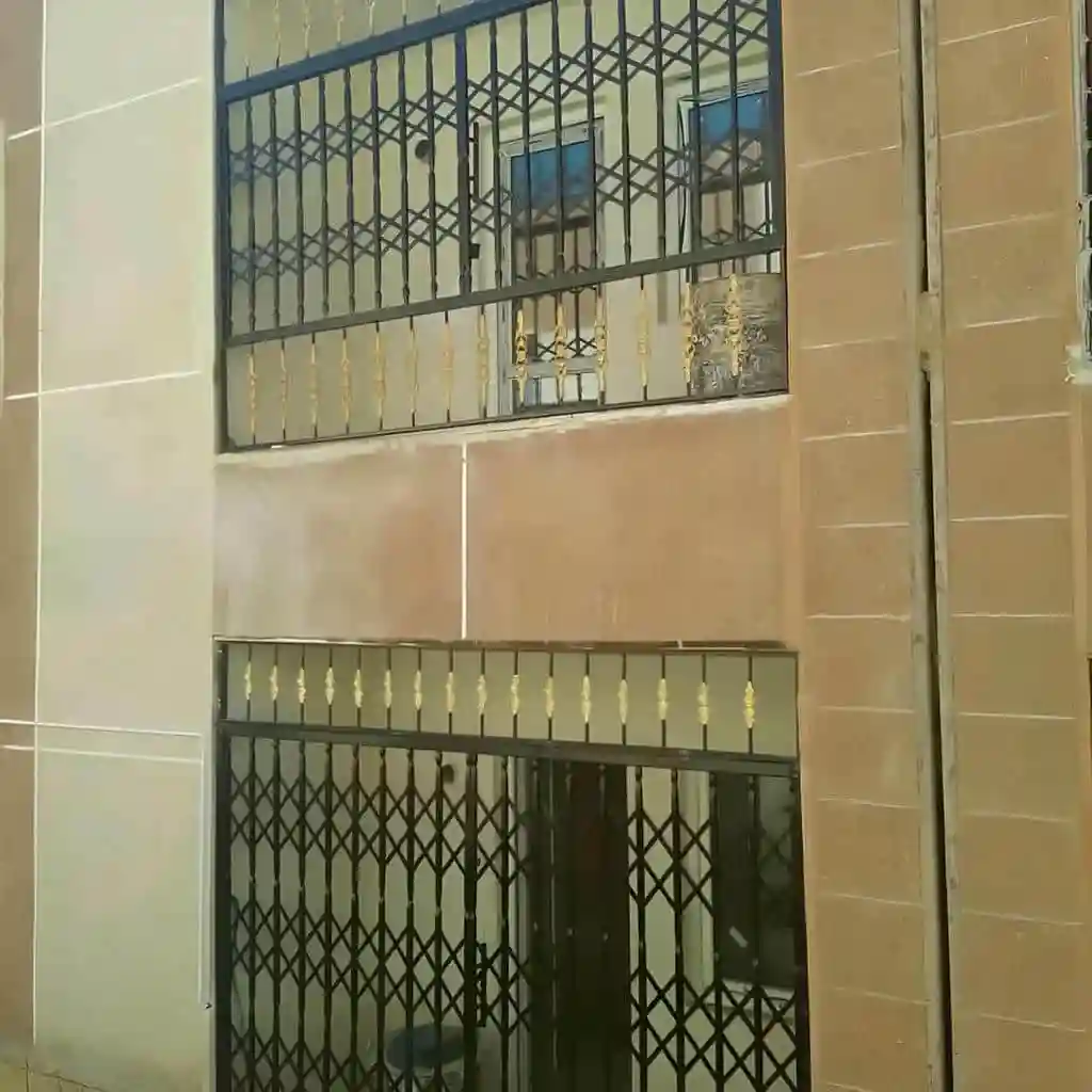 نمونه کار حفاظ پنجره