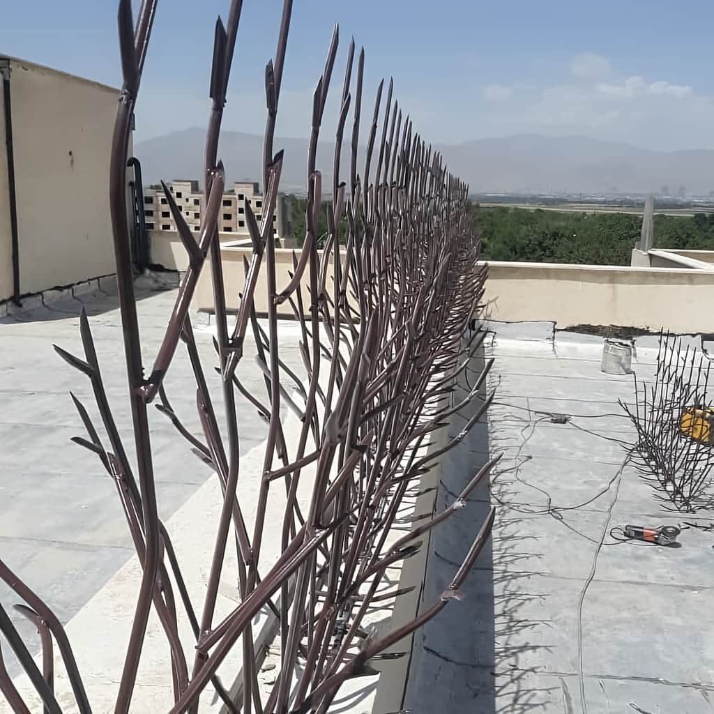 حفاظ دیوار شاخ گوزنی