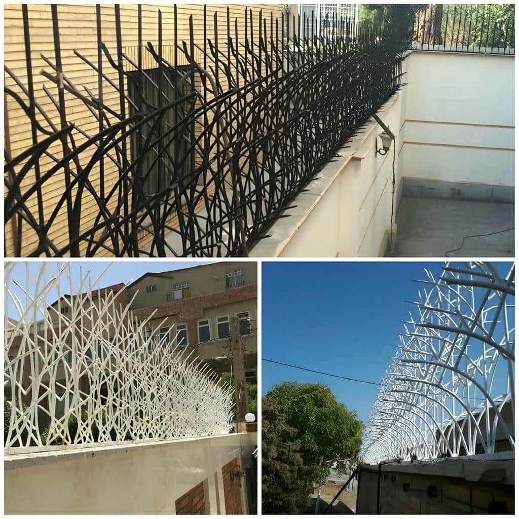 مقایسه حفاظ شاخ گوزنی در اراک