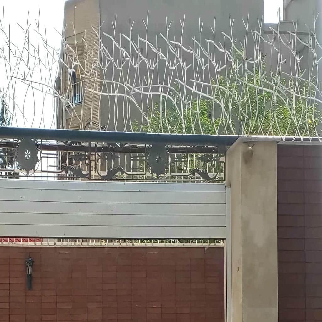 ارزیابی حفاظ شاخ گوزنی در کرمان ارزیابی حفاظ شاخ گوزنی در کرمان