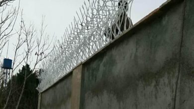 حفاظ شاخ گوزنی در بابل