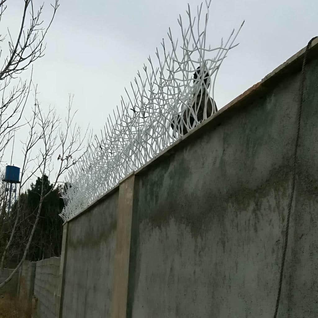 حفاظ شاخ گوزنی در بابل