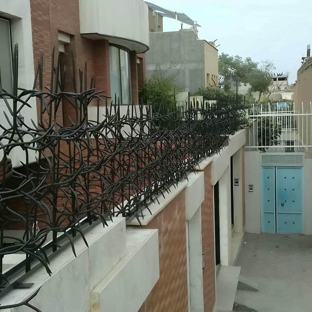 معرفی حفاظ شاخ گوزنی در نیشابور