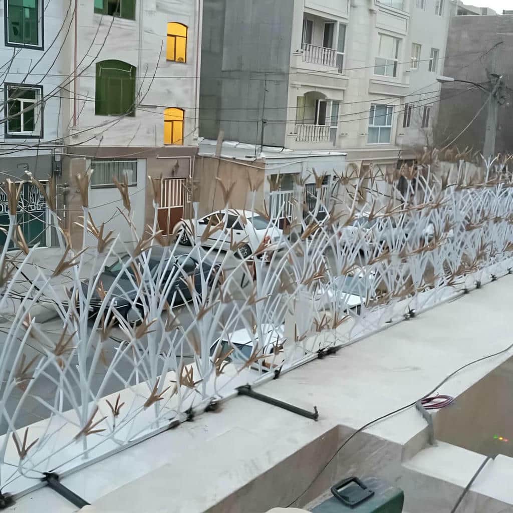 ارزیابی حفاظ شاخ گوزنی در استان گیلان