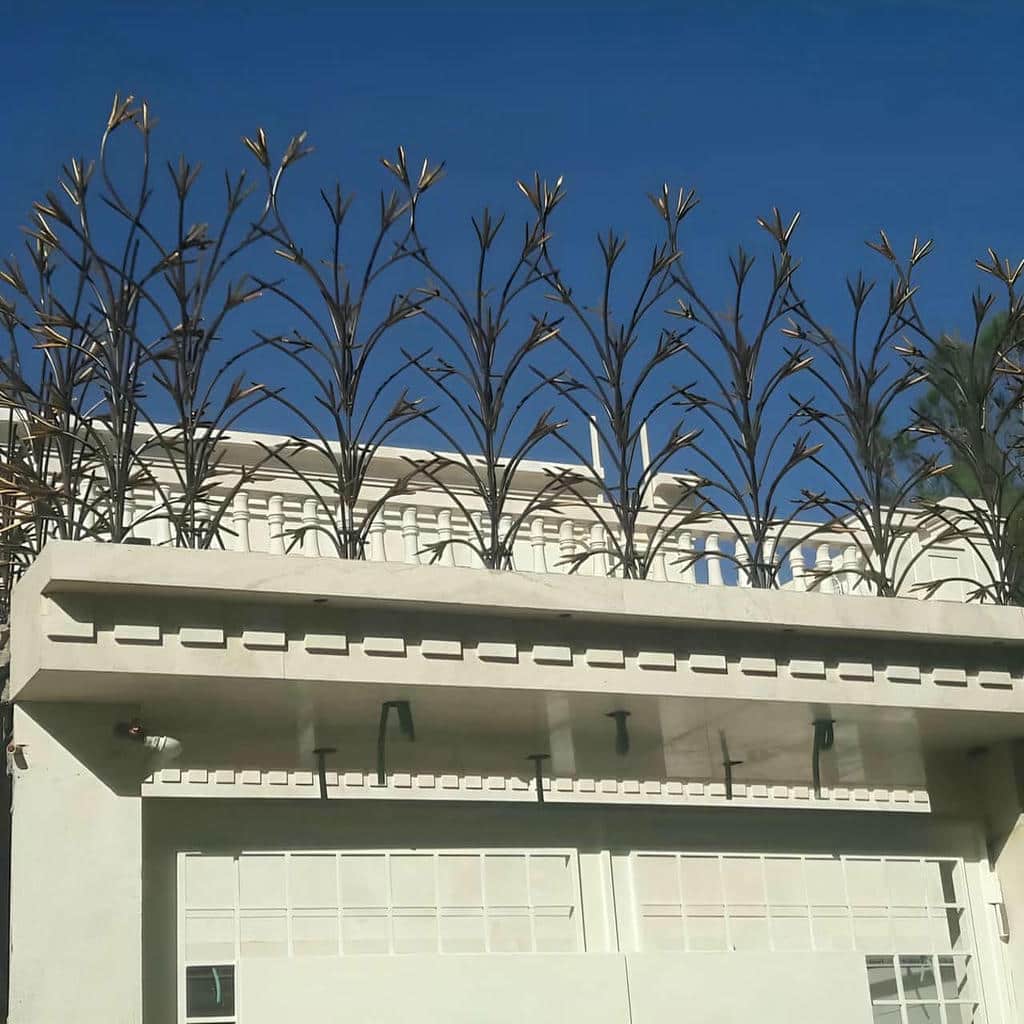 تحلیل حفاظ شاخ گوزنی در استان مازندران