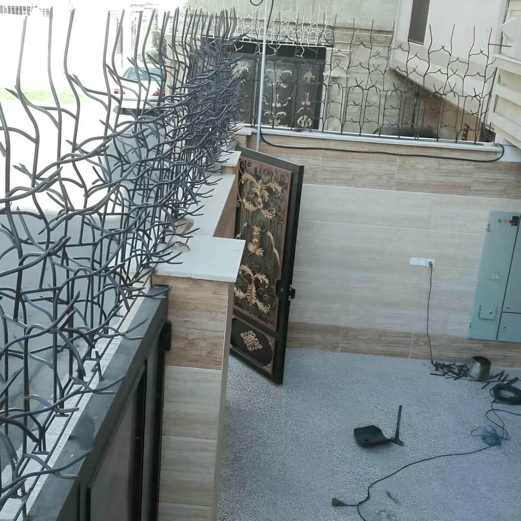 حفاظ شاخ گوزنی در بیرجند