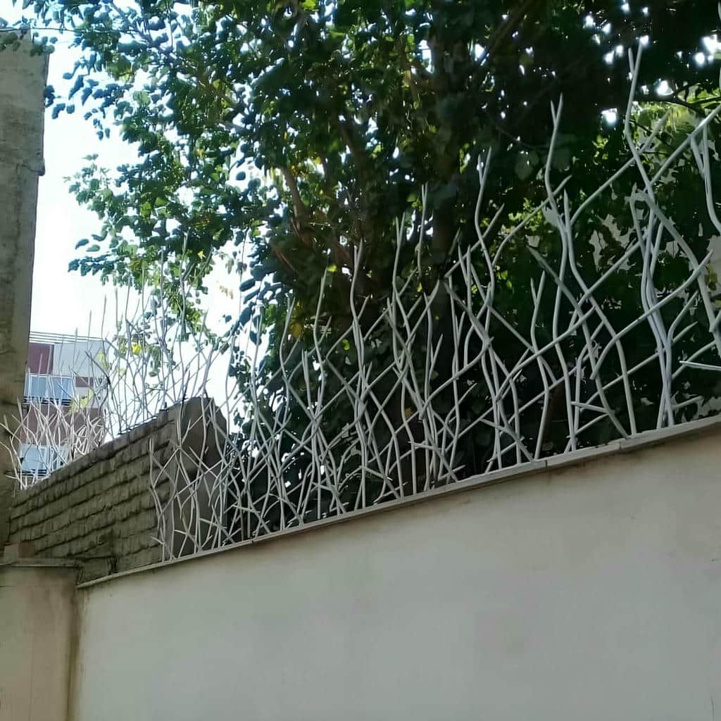 مقایسه حفاظ شاخ گوزنی در بوشهر
