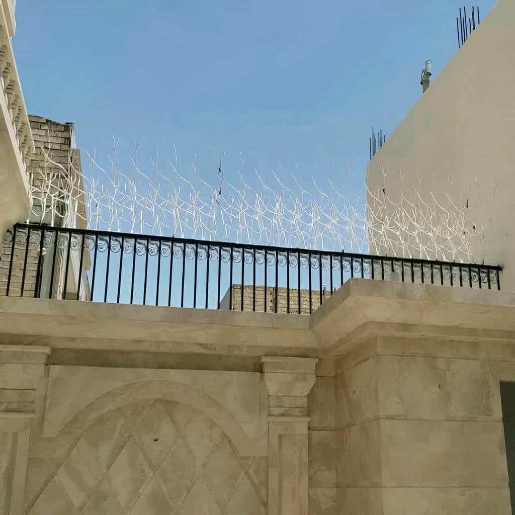 مقایسه حفاظ شاخ گوزنی در رشت