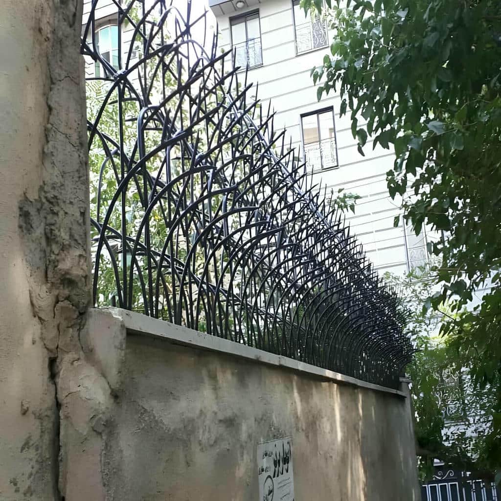 حفاظ شاخ گوزنی در بندر دیلم