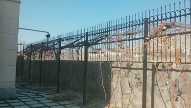 حفاظ شاخ گوزنی در فشم